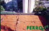Tenis