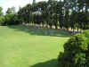 PonteVerde.JPG (116263 bytes)
