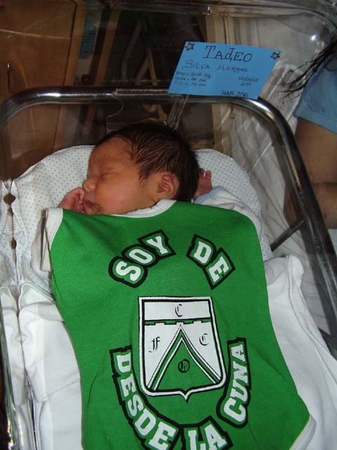 TADEO GERONIMO SILVA TADEO GERONIMO SILVA